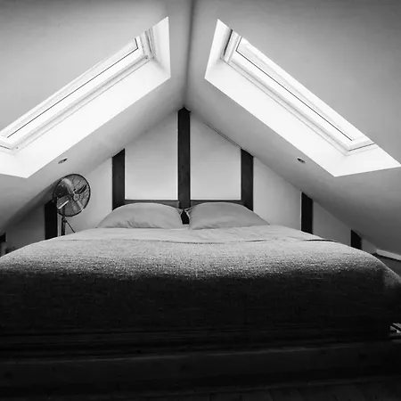 Urban Attic Loft I Self Checkin * Graz