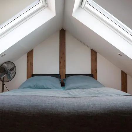 Urban Attic Loft I Self Checkin Graz